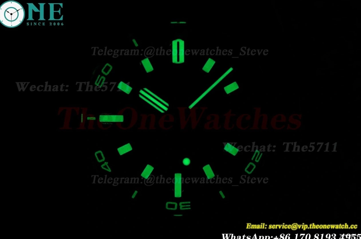 Offshore Stk 15720 APS SS RU Royal Diver Clone Super A4308 Oak Blue 42mm 0411